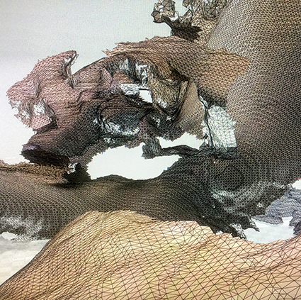 Interrupted 3D scan by artist Paul Coombs